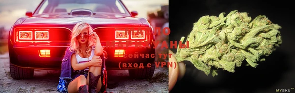 ГАЛЛЮЦИНОГЕННЫЕ ГРИБЫ Алексин