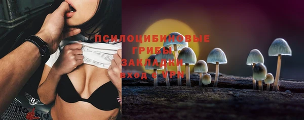 мяу мяу мука Алексеевка