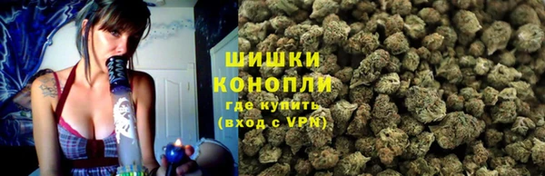 ГАЛЛЮЦИНОГЕННЫЕ ГРИБЫ Алексин
