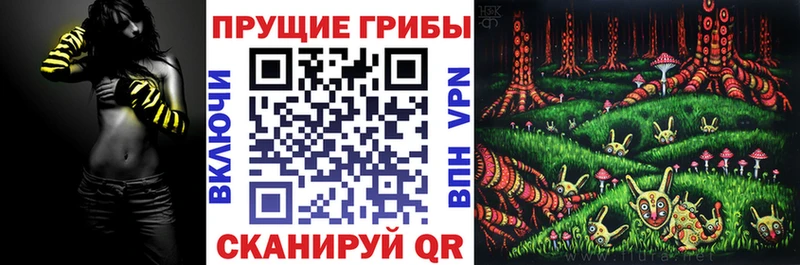 Галлюциногенные грибы мицелий  Тверь 